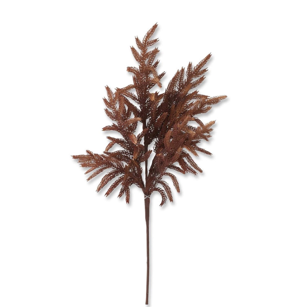24 Inch Real Touch Rust Norfolk Pine Stem