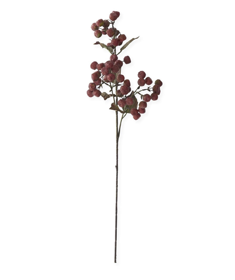 29 Inch Burgundy with Light Green Pod Stem