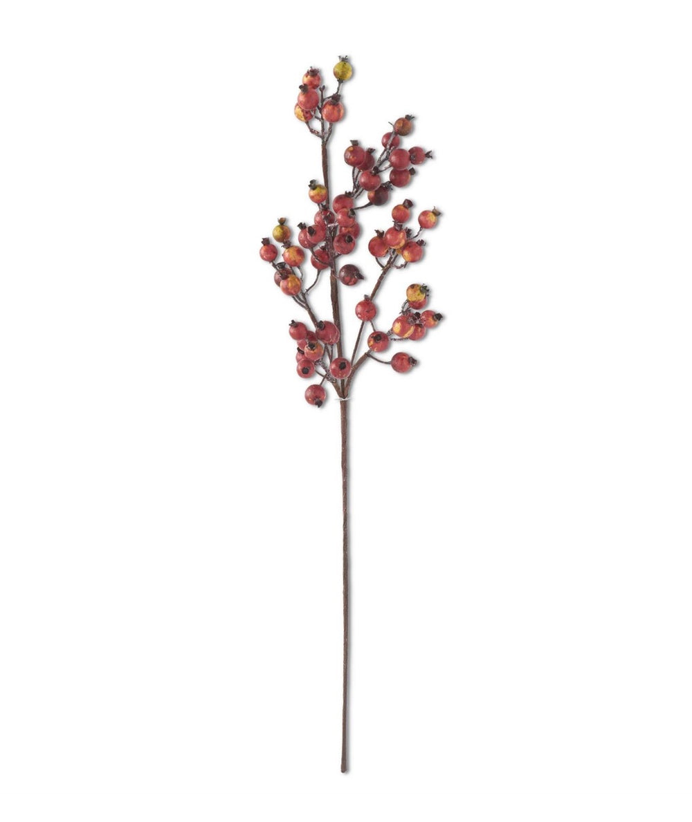 32 Inch Crab Apple Stem