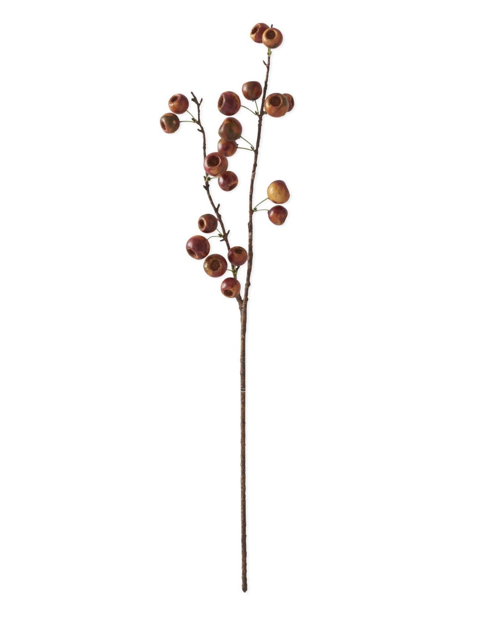 27 Inch Brown Orange Pod Stem