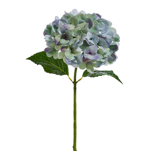 18" Blue and Purple Hydrangea Stem