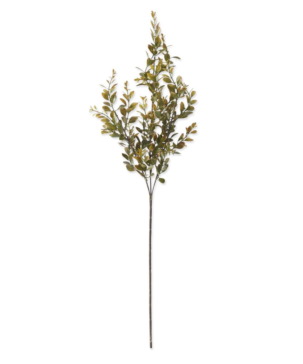 27 inch Green Boxwood Stem