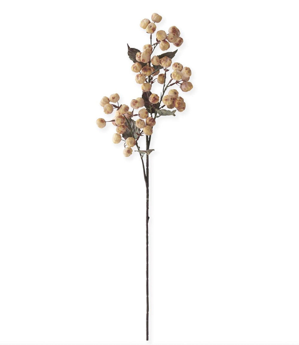 29 Inch Cream with Brown Pod Stem