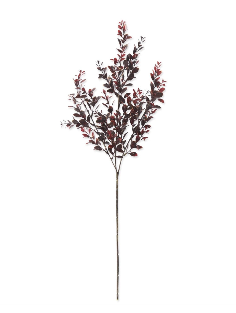 27 Inch Burgundy Boxwood Stem