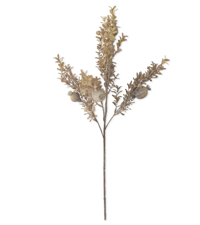 26 Inch Gray Poppy Pod with Foliage Spray