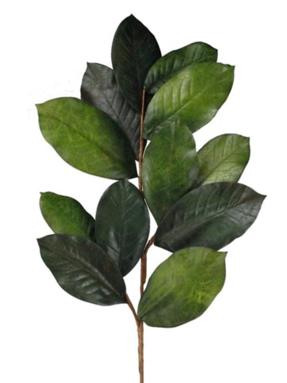 40" Magnolia Leaf Spray