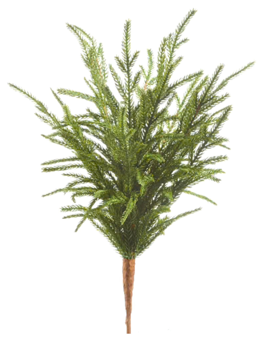 18" Soft Touch Norfolk Pine Pick