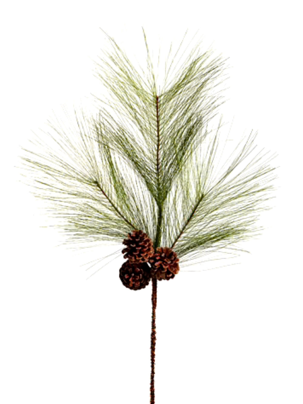 31" Long Needle Pine Spray