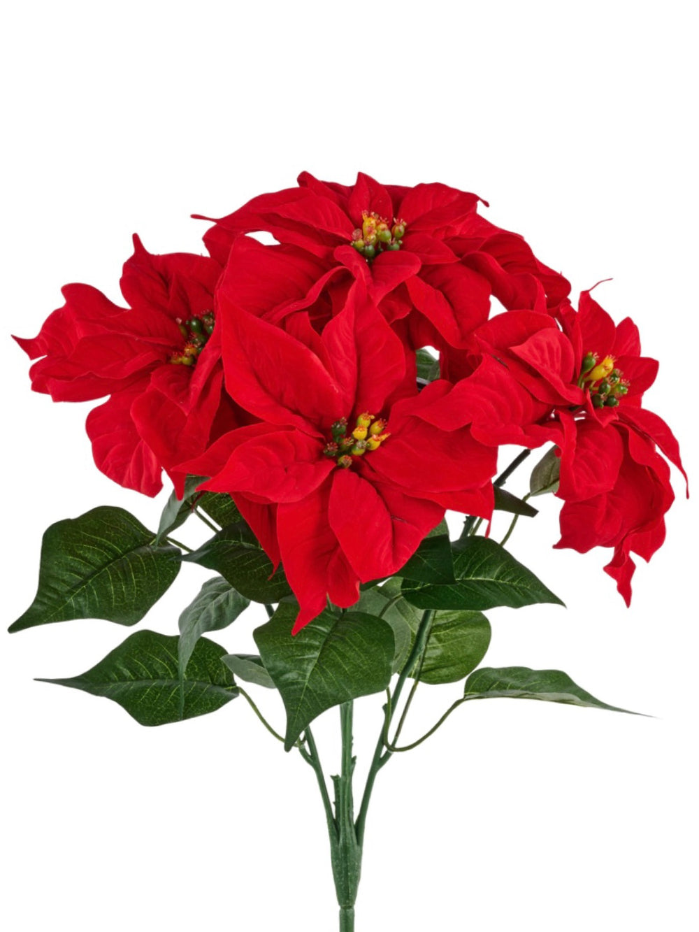 21" Poinsettia Bush - Red